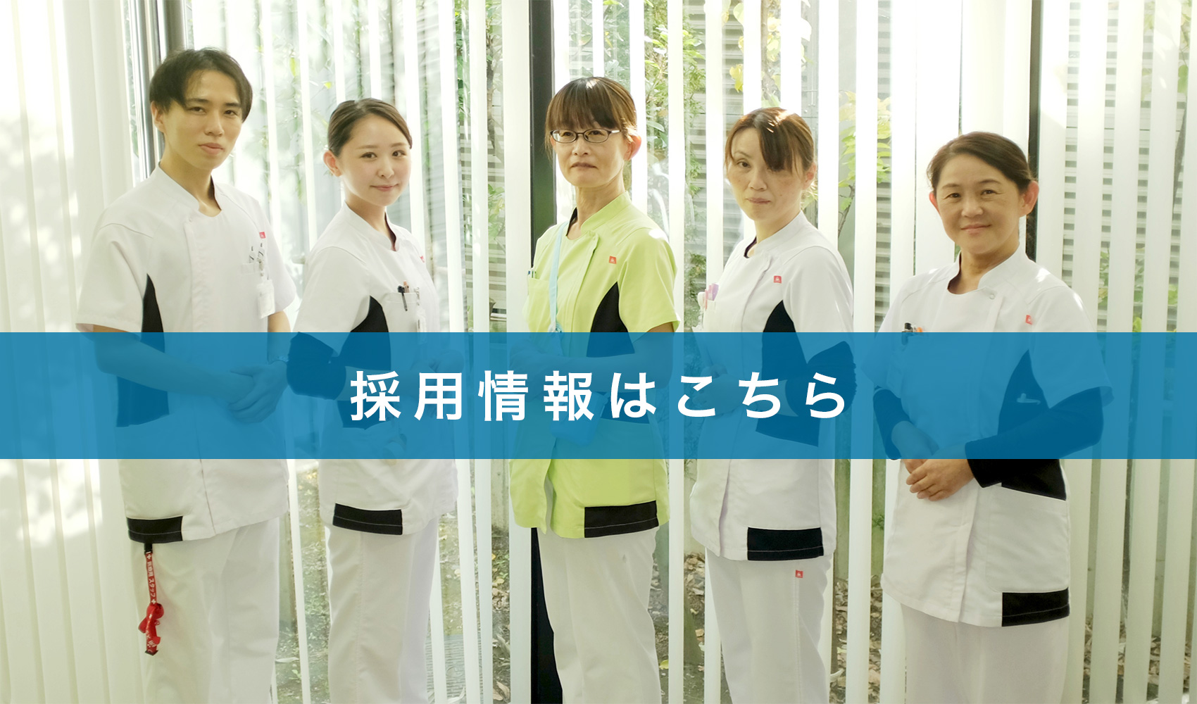 採用情報はこちら